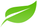 The Wellness Shop